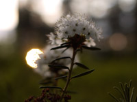 Lauantai / Saturday 18.6.