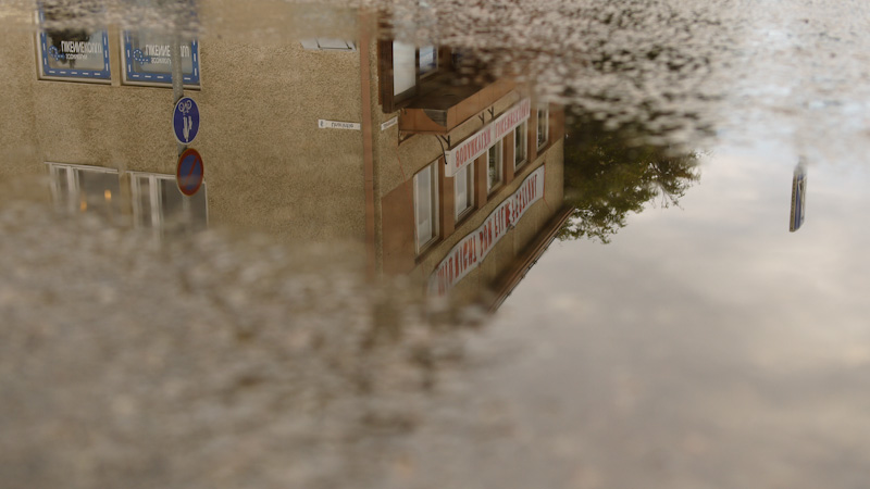 Lapinsuu sateen j&auml;lkeen